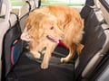 Picture of Seat Cover Solutions PetSuite Back Seat Protectors