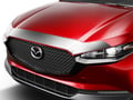 Picture of Husky Liners Aeroskin Hood Protector - Chrome