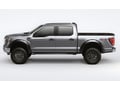 Picture of Bushwacker Forge Style Fender Flares - 4 Piece (Excludes Raptor)