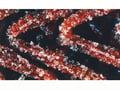 Picture of Rupes X Cut Foam Abrasives 125mm/5