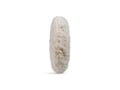Picture of Lake Country Marine White Cutting Twisted Wool Pad - 7.5