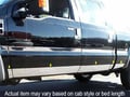Picture of QAA Stainless Rocker Panel Trim 10Pc Fits 1999-2007 Ford Super Duty TH39322