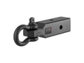 Picture of Curt D-Ring Shackle Mount Trailer Hitch, Fits 2-1/2