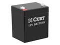 Picture of Curt Breakaway Battery