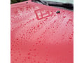 Picture of P&S Bead Maker Paint Protectant