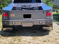 Picture of Truck Hardware Gatorback 19