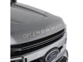 Picture of Putco Ford Lettering - Ford Super Duty Tailgate Lettering (Stainless Steel)