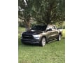 Westin R5 Nerf Step Bars customer photo