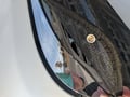 Fia Custom Fit Winter Front & Bug Screen customer photo