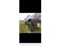 Truck Hardware Gatorback Black Plate Mud Flaps - 14
