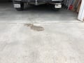 Truck Hardware Gatorback Single Plate - Black GMC For 12
