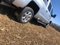 Truck Hardware Gatorback Single Plate - Gold Bowtie For 12