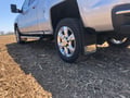 Truck Hardware Gatorback Single Plate - Gold Bowtie For 12