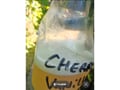 Due North Concentrated Air Freshener - Vanilla - 32 oz customer photo