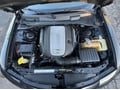 Auto Magic Super Dress-It - 5 Gallon customer photo