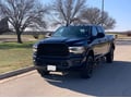 Raptor Series Magnum RT Drop Steps customer photo