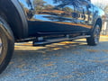 Westin PRO TRAXX 4