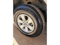 Auto Magic Wheel Magic - Gallon customer photo