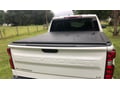WeatherTech Roll-Up Truck Bed Cover - 5' 9.9